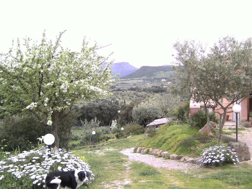 B&B Valli Verdi Альгеро Экстерьер фото