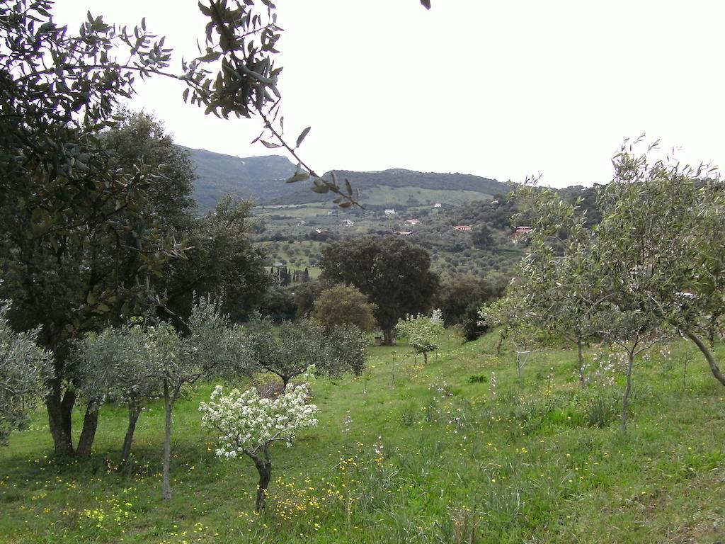 B&B Valli Verdi Альгеро Экстерьер фото